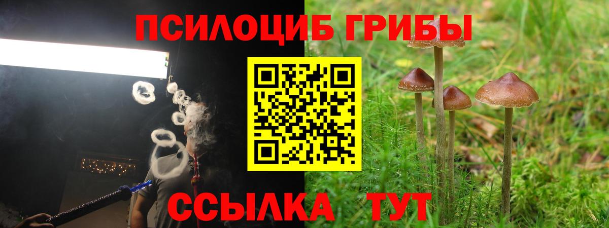 Псилоцибиновые грибы GOLDEN TEACHER Обь